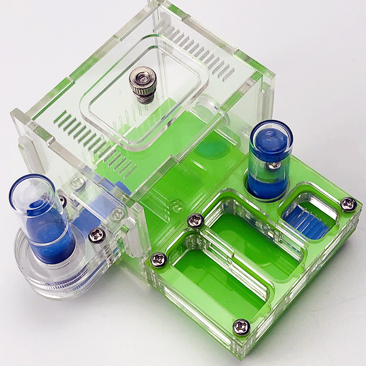 dural water towel Ant Workshop Acrylic Nest Ants Farm House Activity Area Pocket Mini Ant Nest