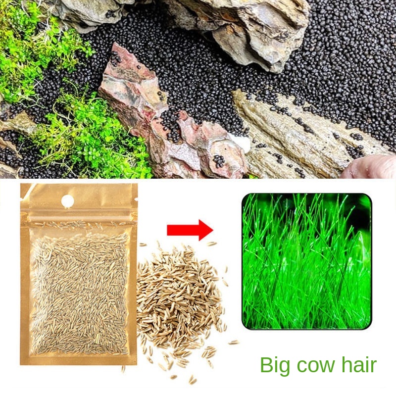 Aquarium Accessories Fish Tank Plants Aquarium Grass Simple Operation and Beautiful Water Purification