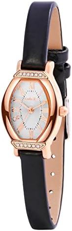 CakCity Women's Dainty Small Oval Leather Strap Watch Ladies Wrist Watch,Black/Rose Gold,CK013,20x27mm