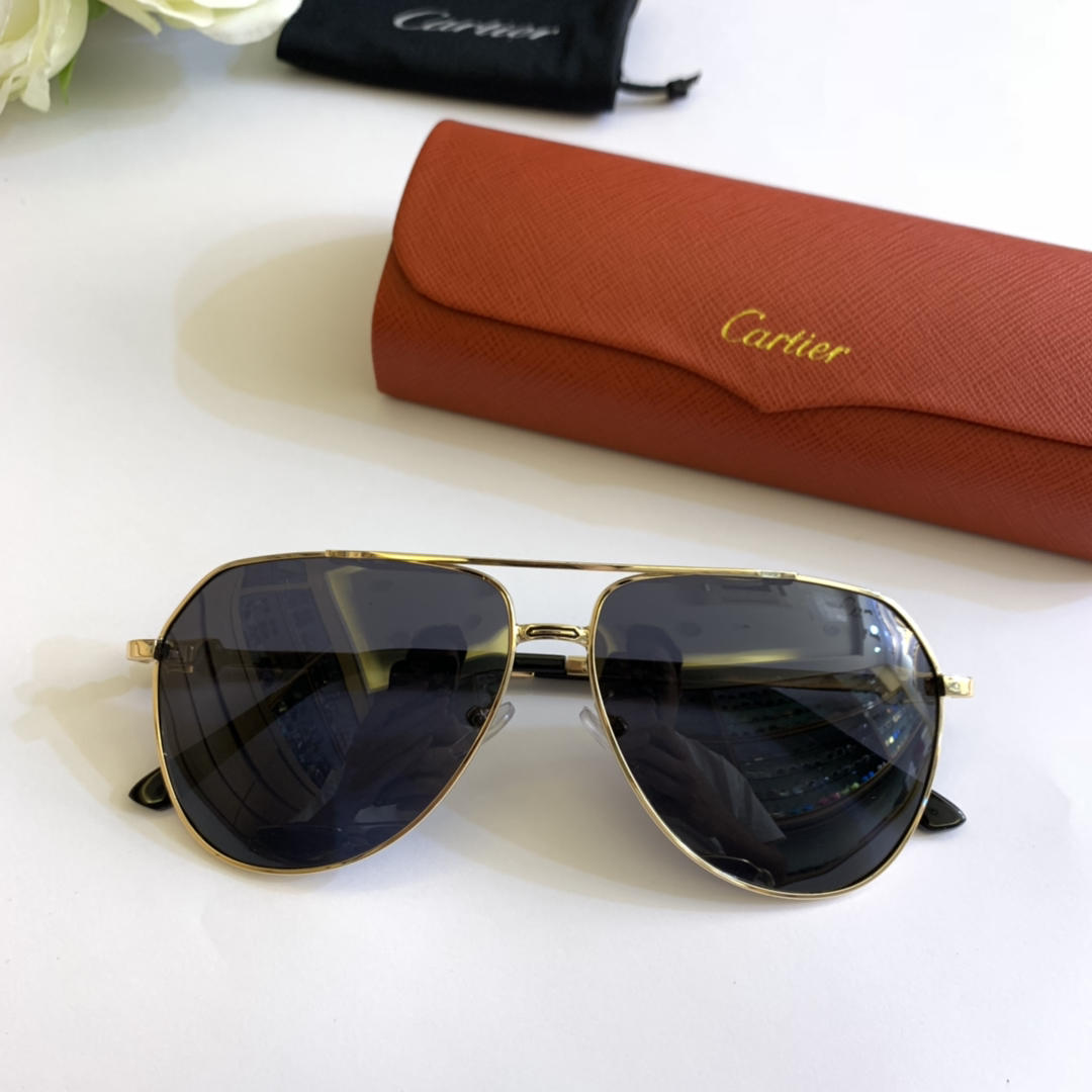 Cartier Men’s Sunglasses ASS650028