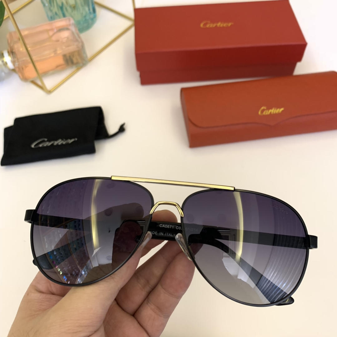 Cartier Men’s Sunglasses ASS650025